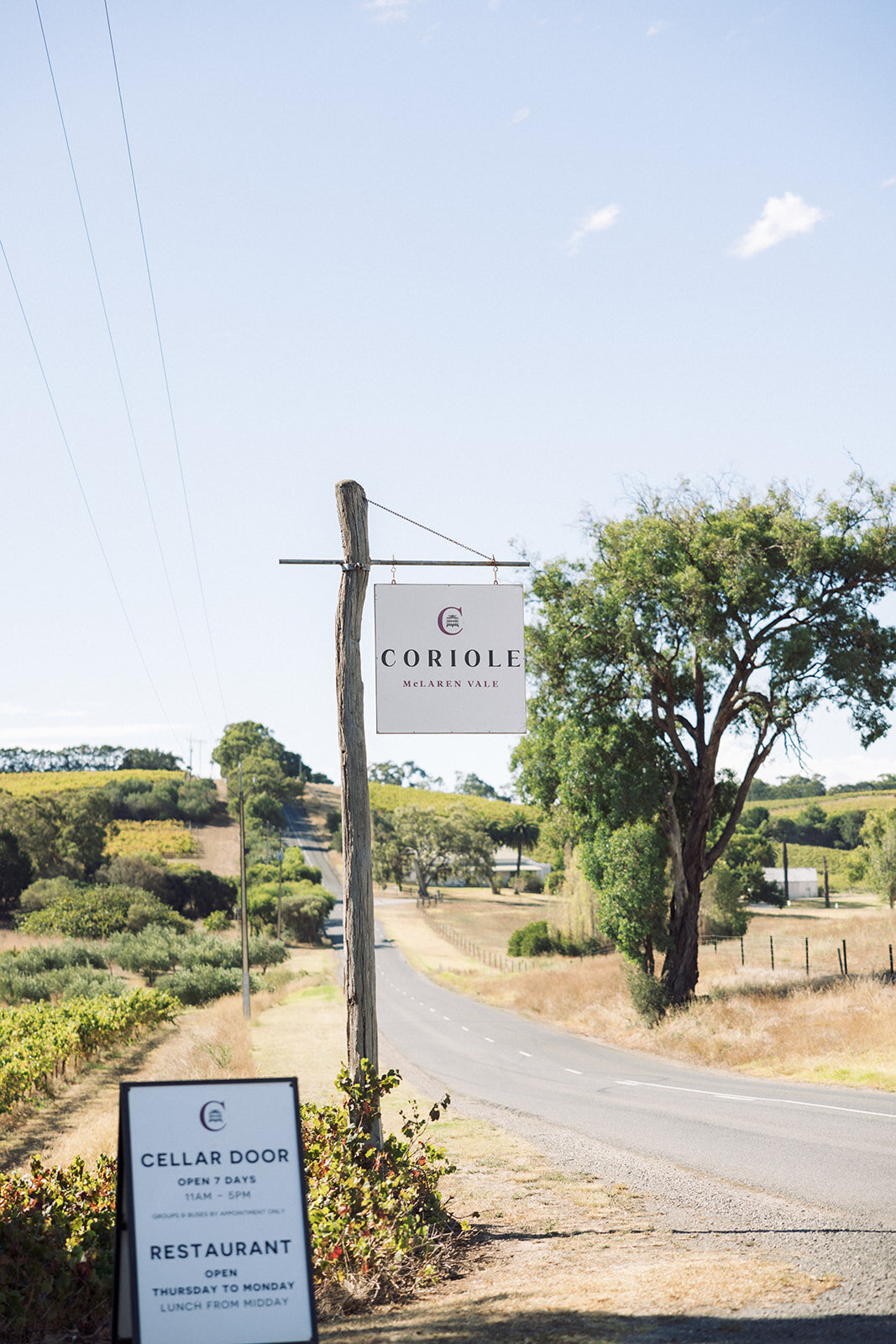 Ashton & Sammys-96_websize