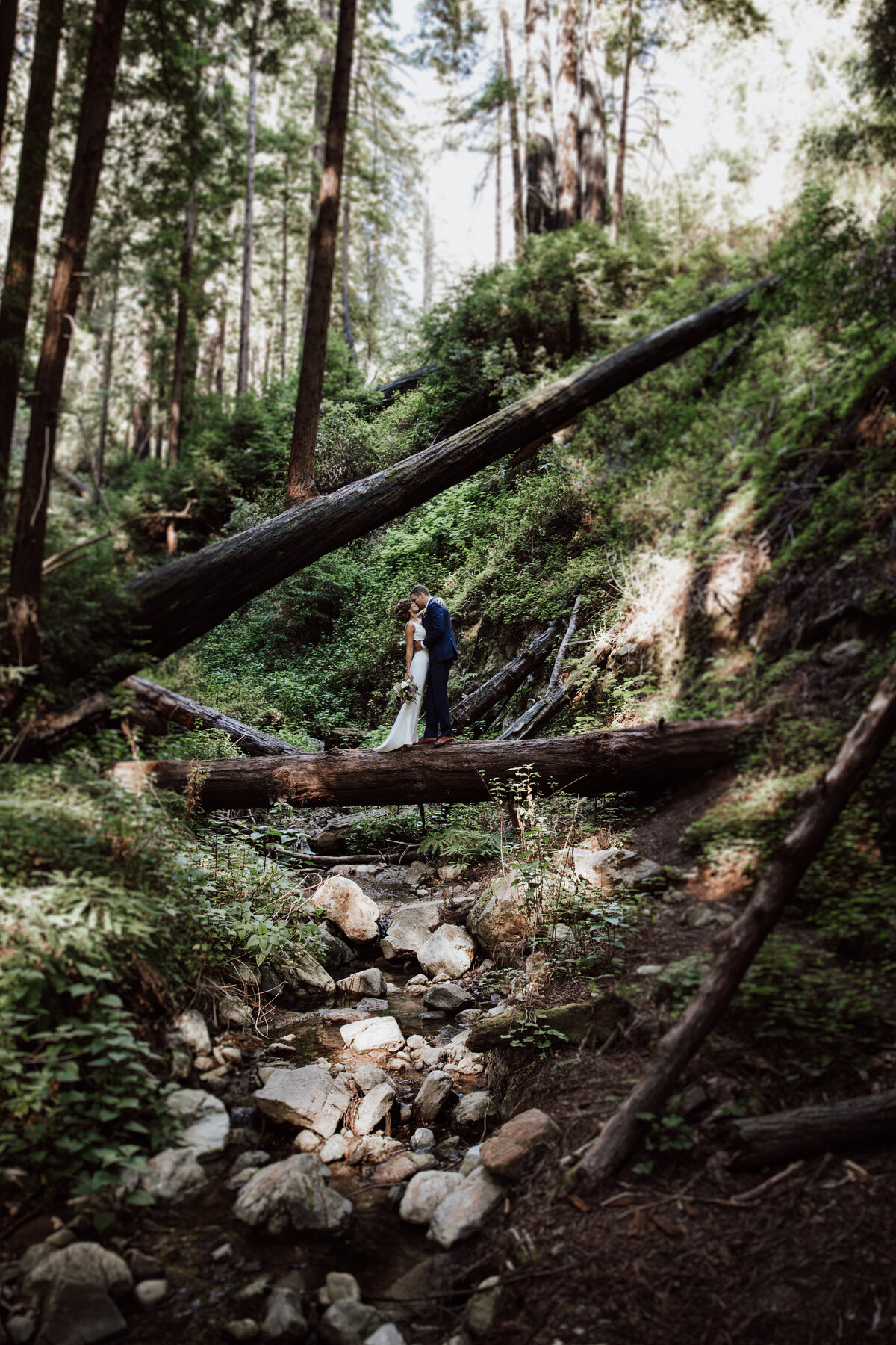 THEDELAURAS_BIGSUR_WEDDING_PHOTOGRAPHERS_HENRYMILLER_LIBRARY_BIGSURBAKERY_SNEAKPEEK_0003