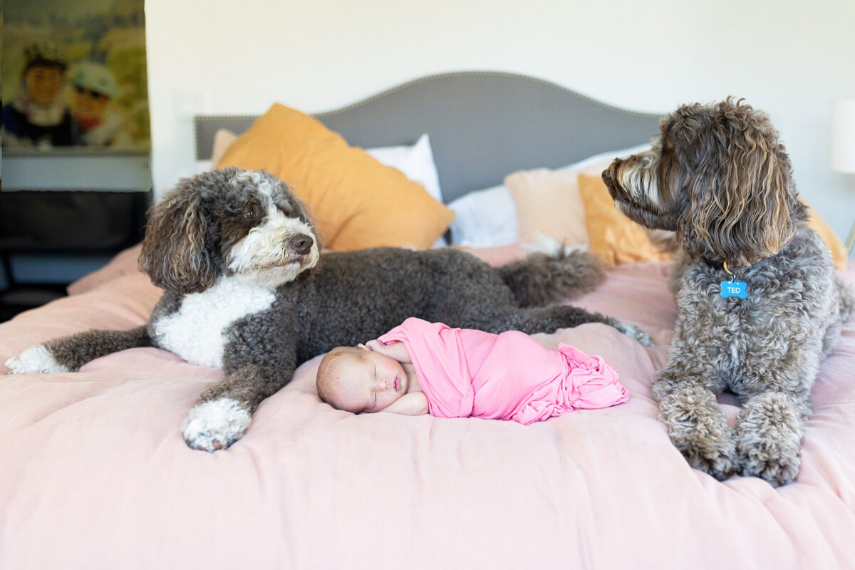 Lifestyle-Newborn-Photos003