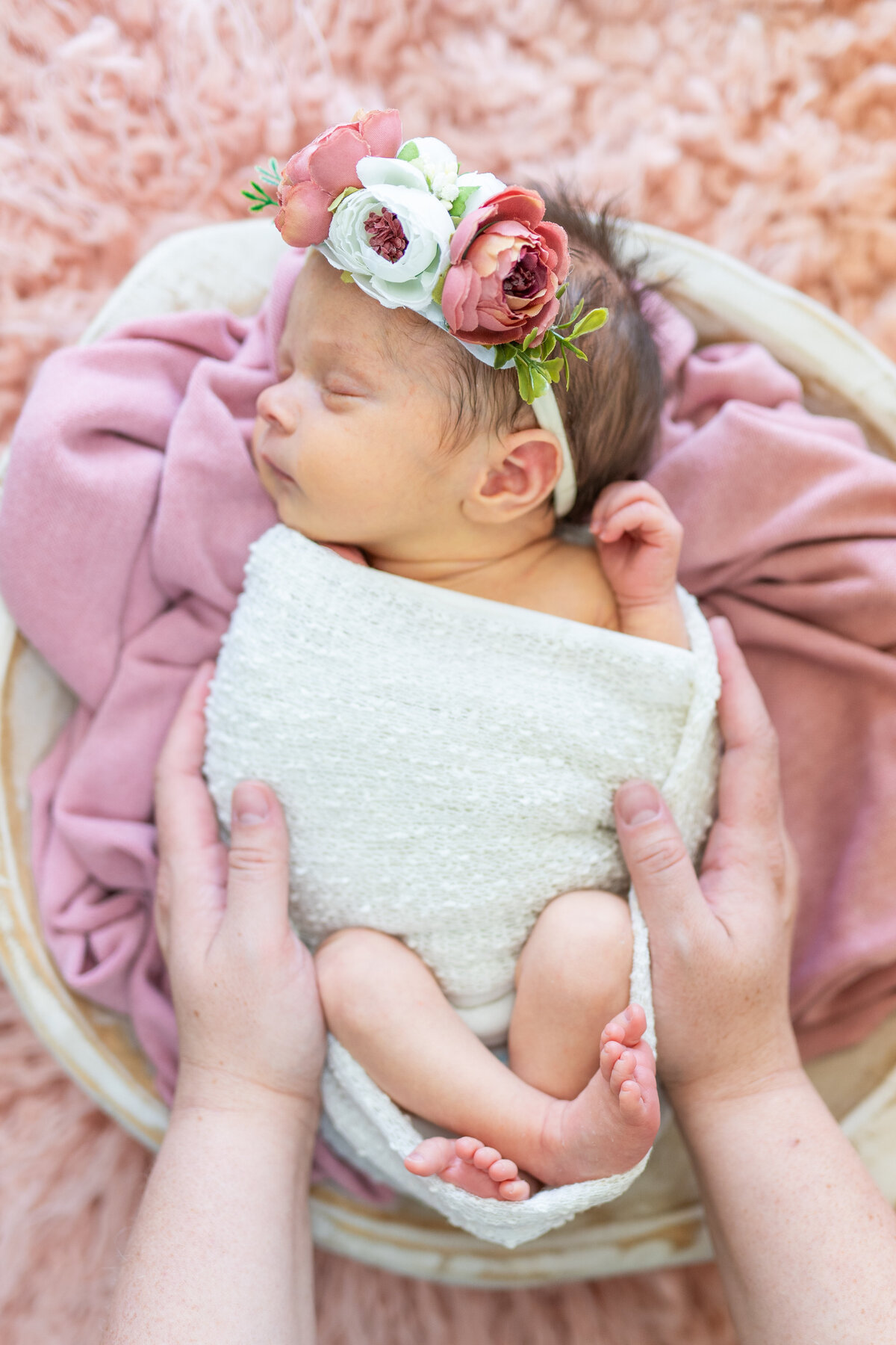 Baby Esmeralda Rose-55