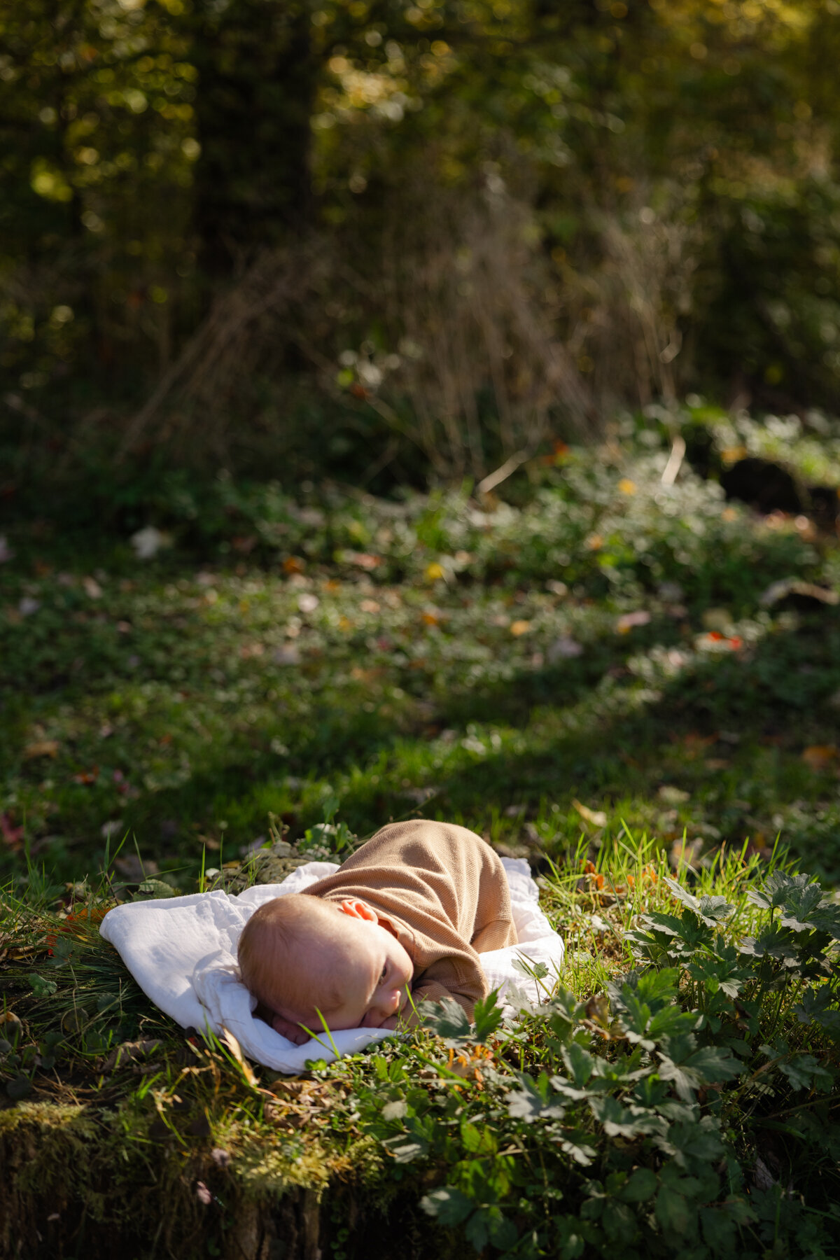 19.10.24_Amber&Noah-Newborn-Photoshoot_Full-Gallery-164