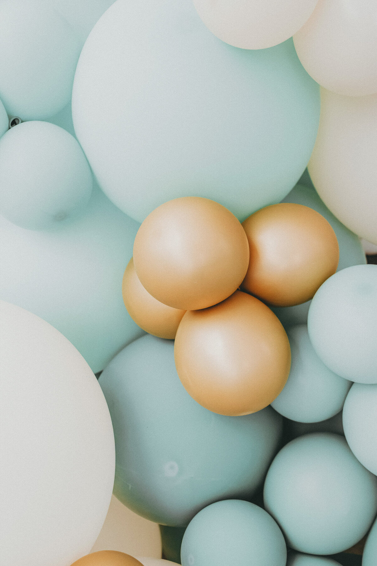 pexels-aedrian-32899559