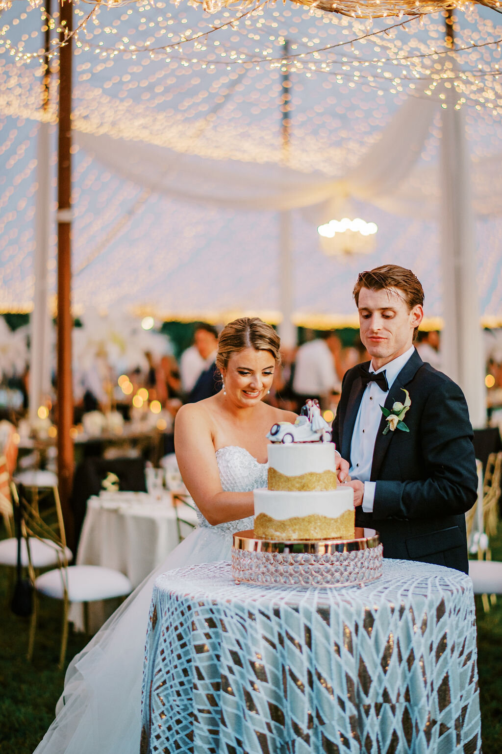 Tyler-Lauren-Wedding-photo-220