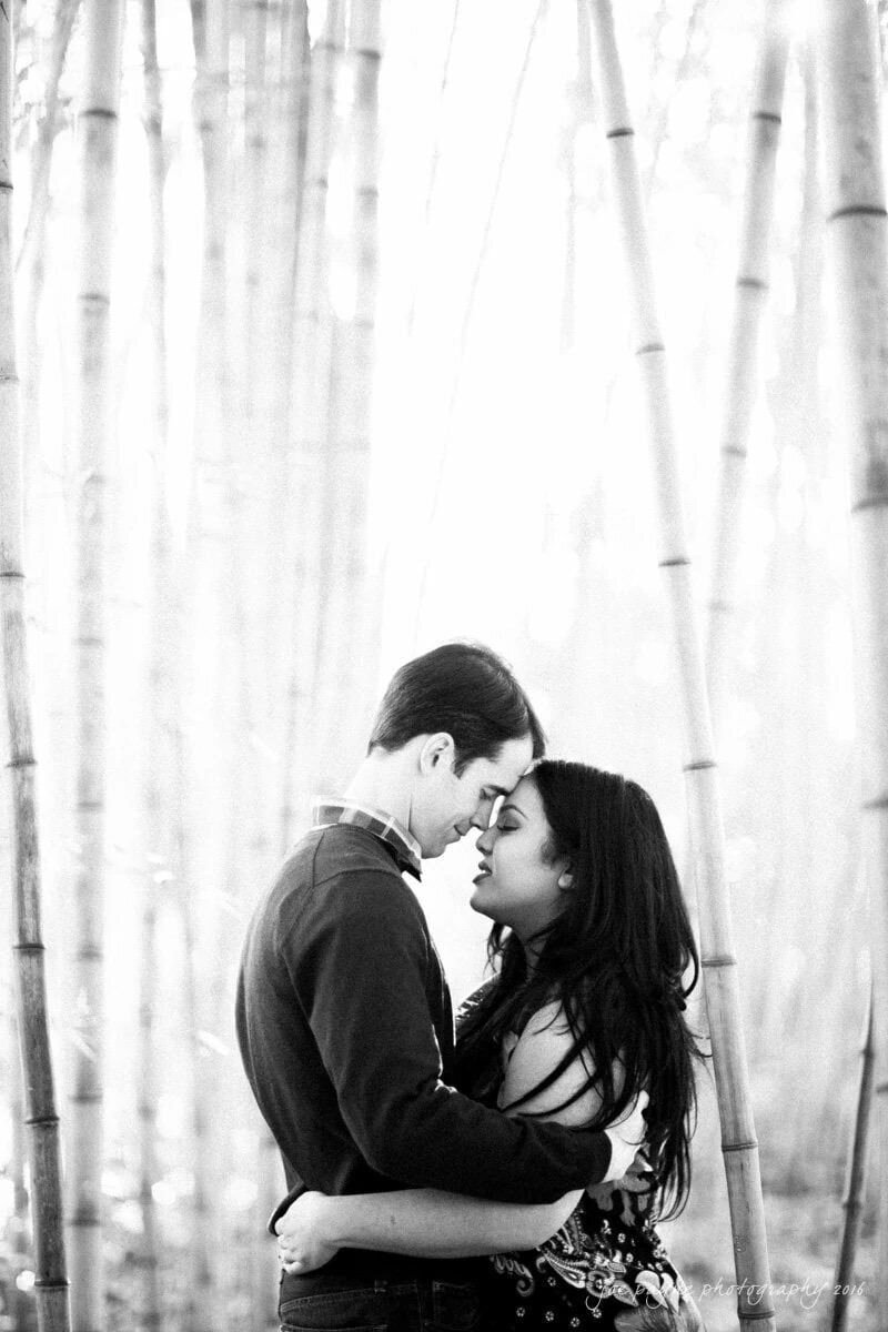 A couple in a close embrace with bamboo trees behind them