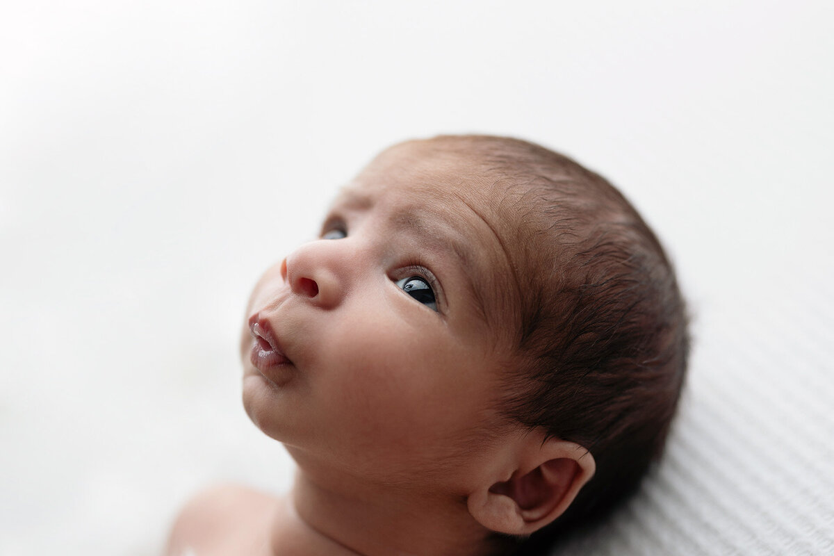 memphis newborn photography by jen howell 16