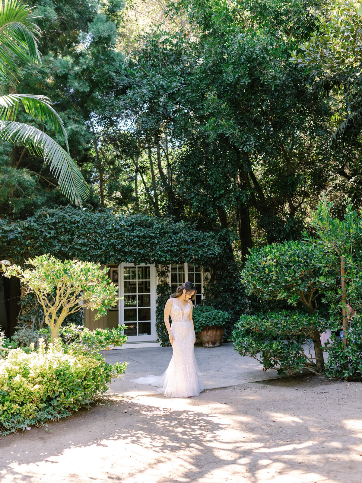 Bride in elegant white gown stands in sunlit garden surrounded by lush green foliage and trees at Hartley Botanica.