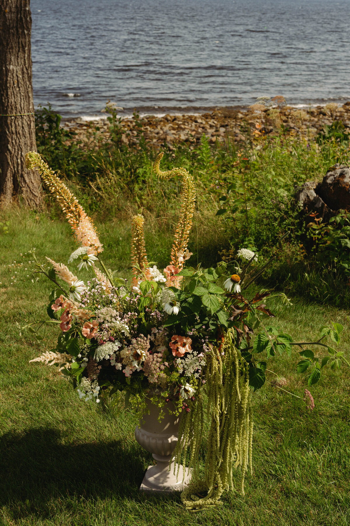 C&C Wedding-362
