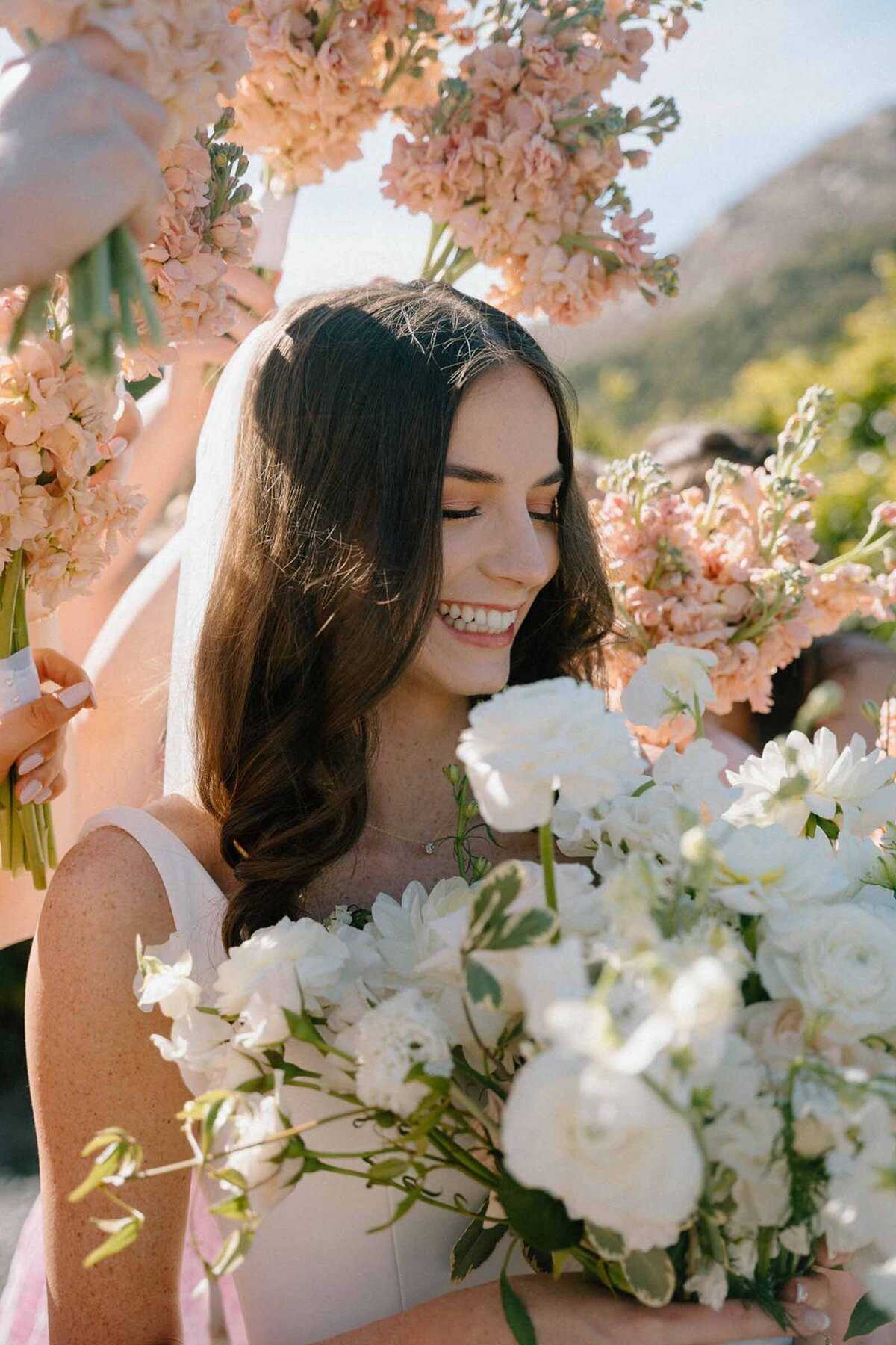 Rancho-Guejito-Vineyard-1