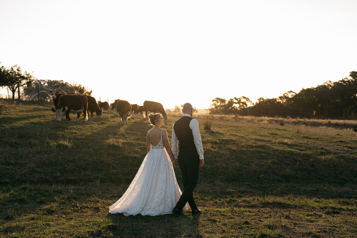 Courtney Laura Photography, Yarra Valley Wedding Photographer, The Farm Yarra Valley, Cassie and Kieren-949