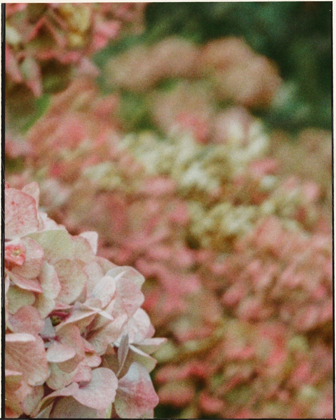 thumbnail_image1