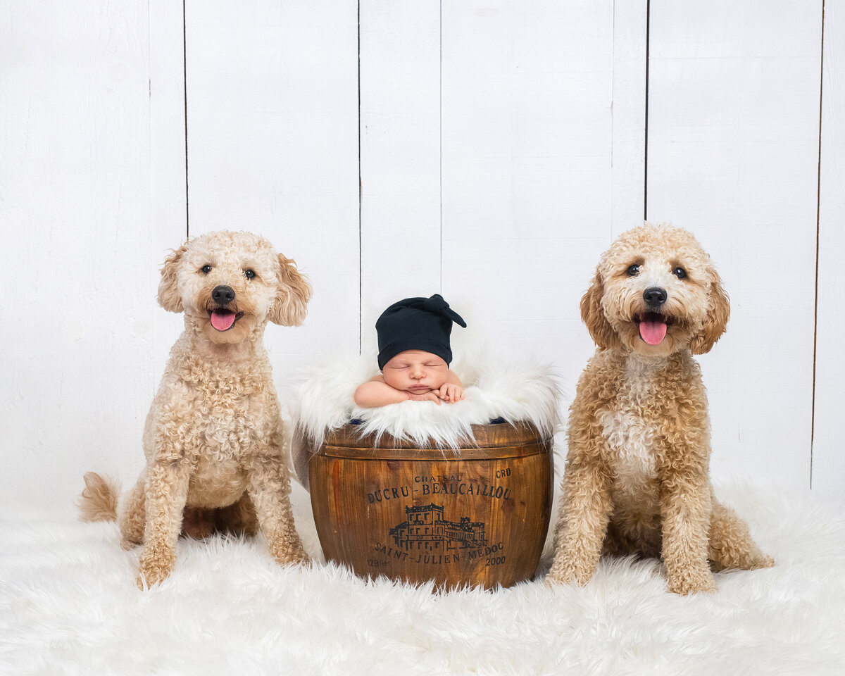 One12 Photography | Newborn Photography in London, Ontario31