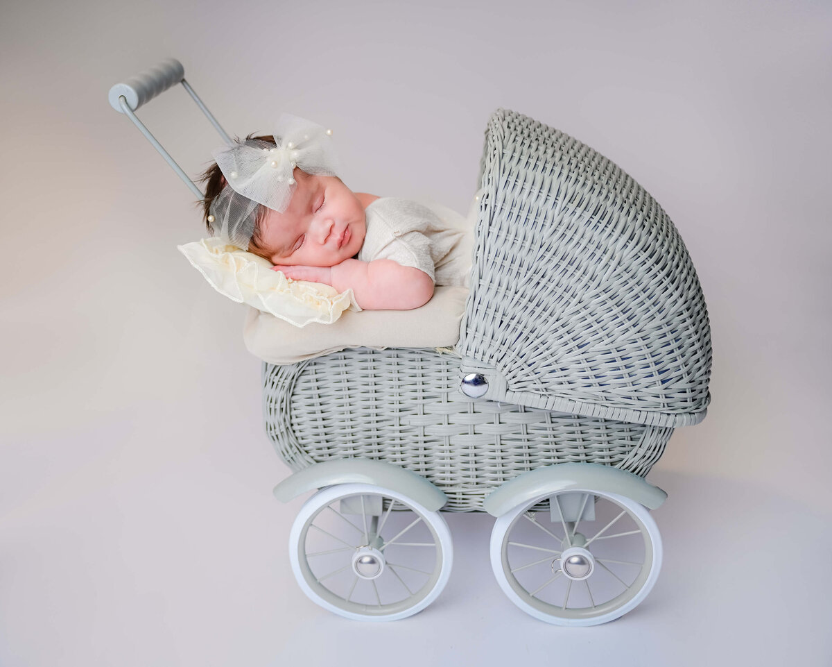 Kitsap County, WA newborn photo session captured by E. Benecki Photography. Newborn is sleeping and posed in a gray stroller.