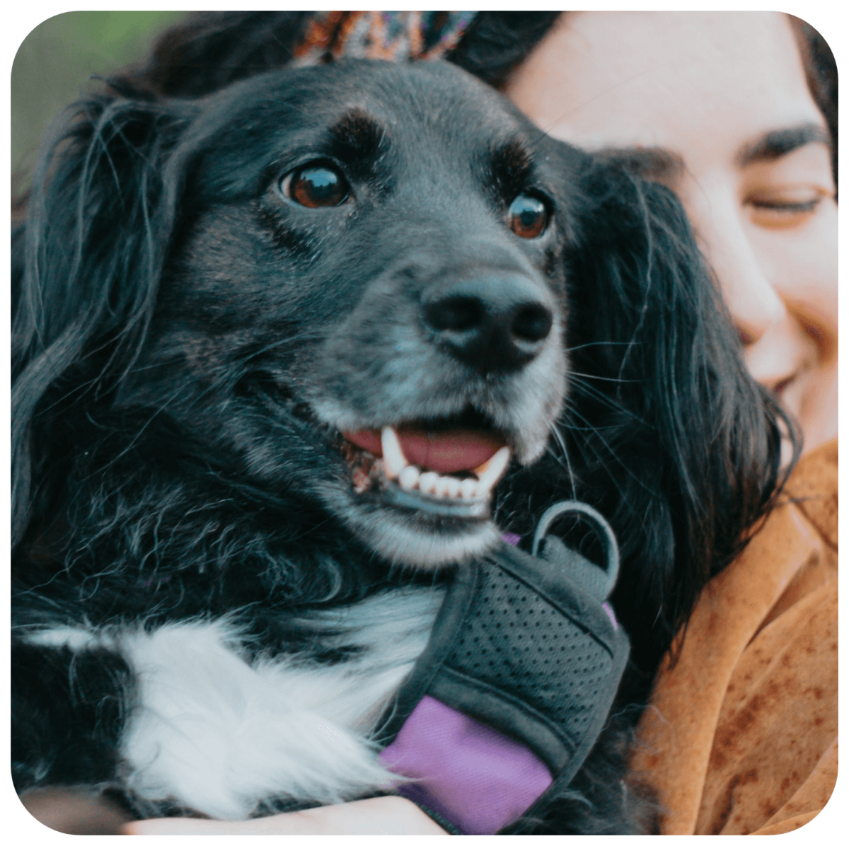 attaboys-and-attagirls-02