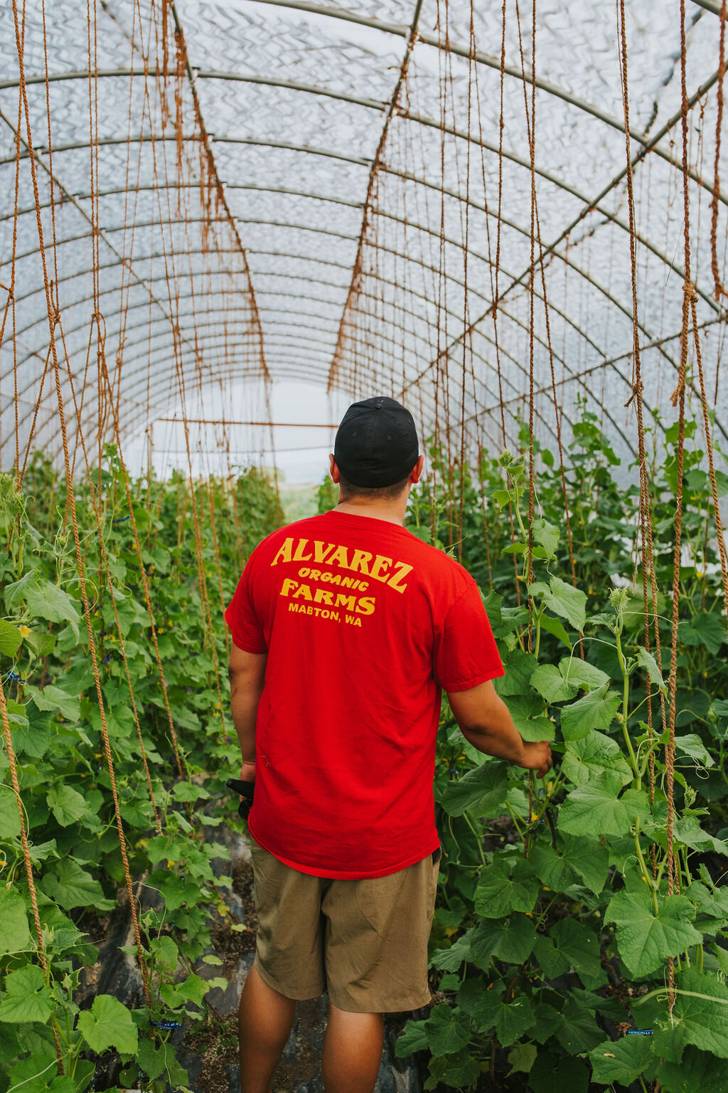 AlvarezFarms-14-2