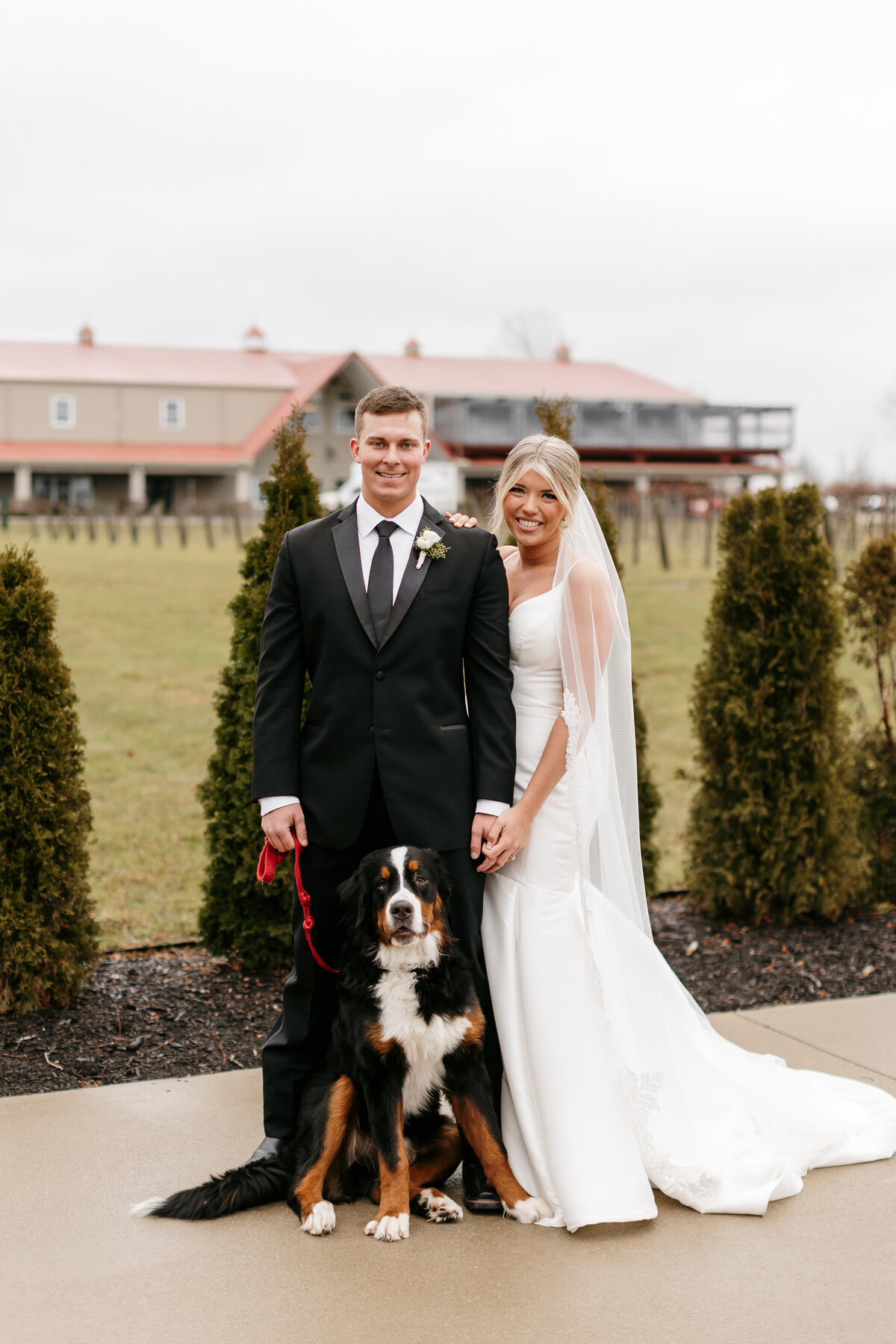 Dog friendly wedding, Couple with their dog