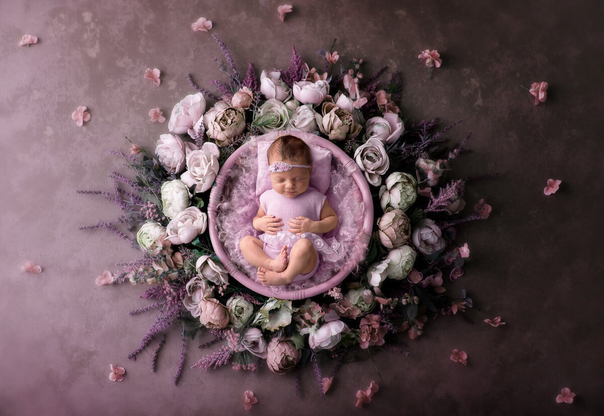 Lovely newborn photography in  purple and white flower background by Houston Photographer