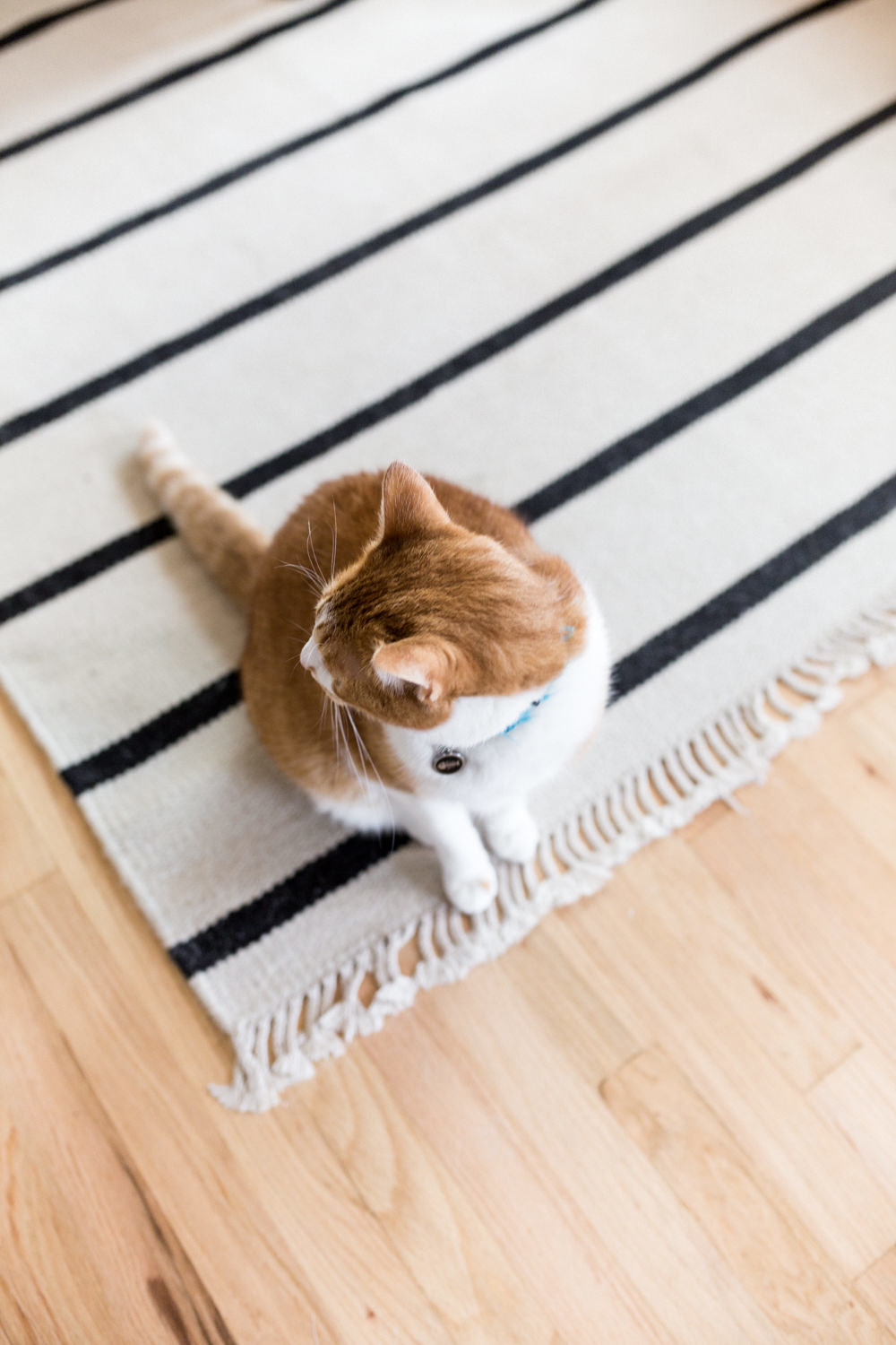 gather-seattle-podcast-episode-one-danielle-motif-photography-6