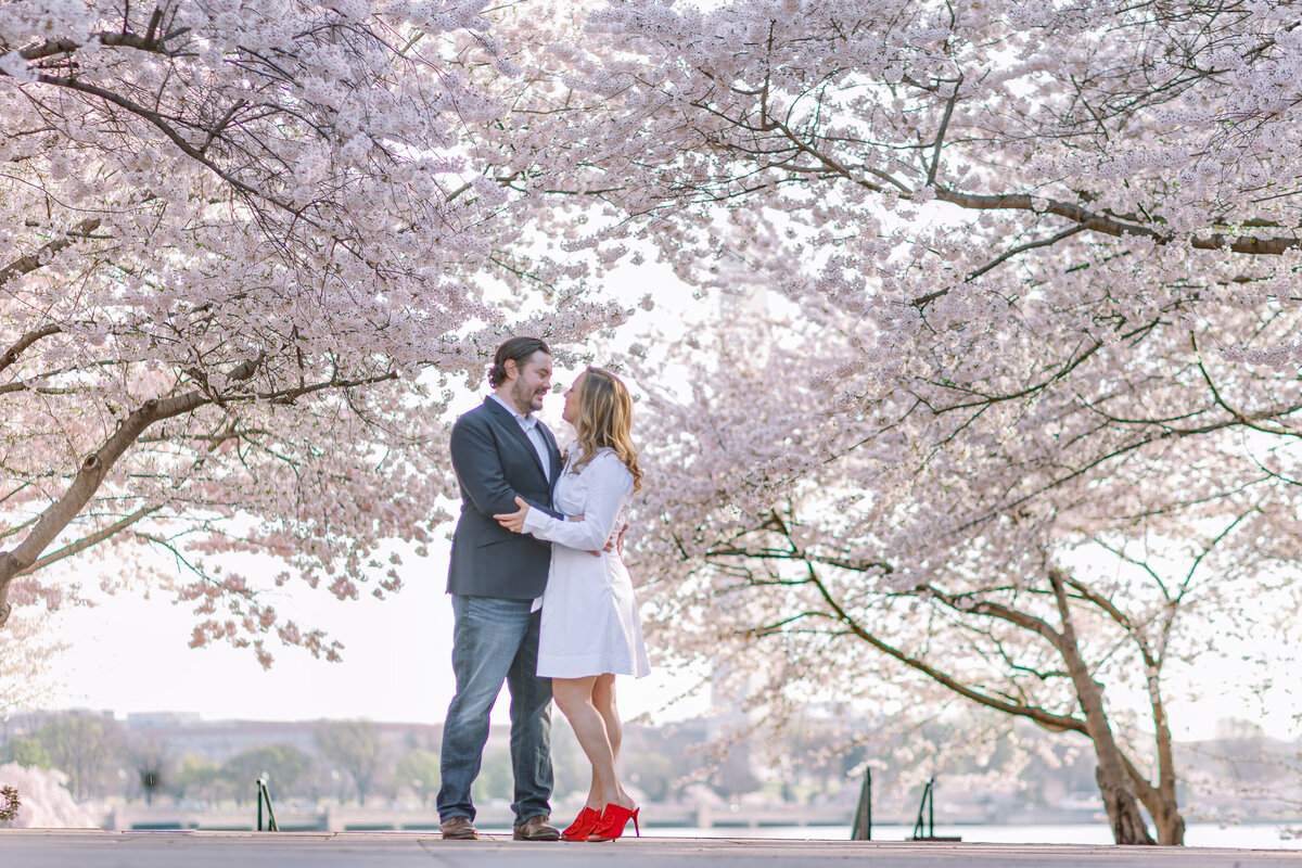dc-cherryblossom-engament--9