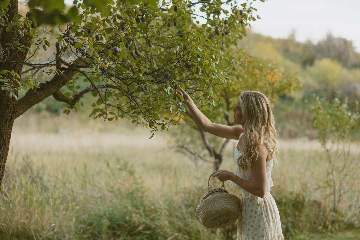 tanya-davids-photo-film-documentary-idaho-utah-oregon-washington-colorado-wedding-elopement-portrait-photographer-intention-session-apple-orchard-61