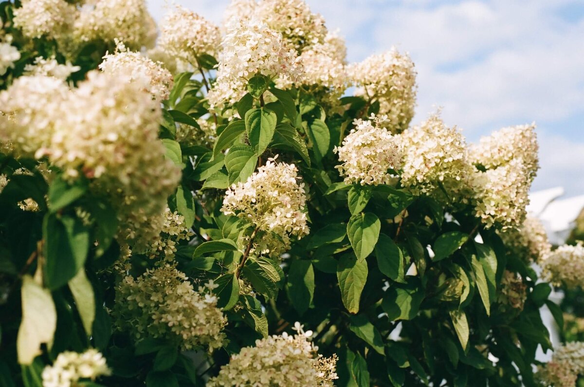 rochester-ny-wedding-photographer-92