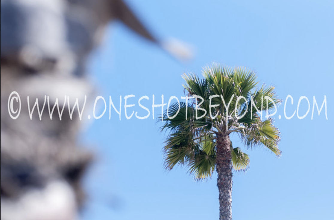 Stunning Professional Photography in Southern California | One Shot Beyond Photography.