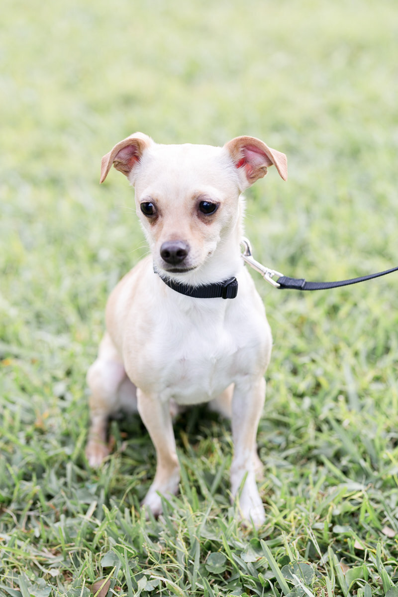 Cocoa Beach engagement session | Orlando wedding photographer | Orlando photographer | Orlando weddings |  Beach engagement_-3