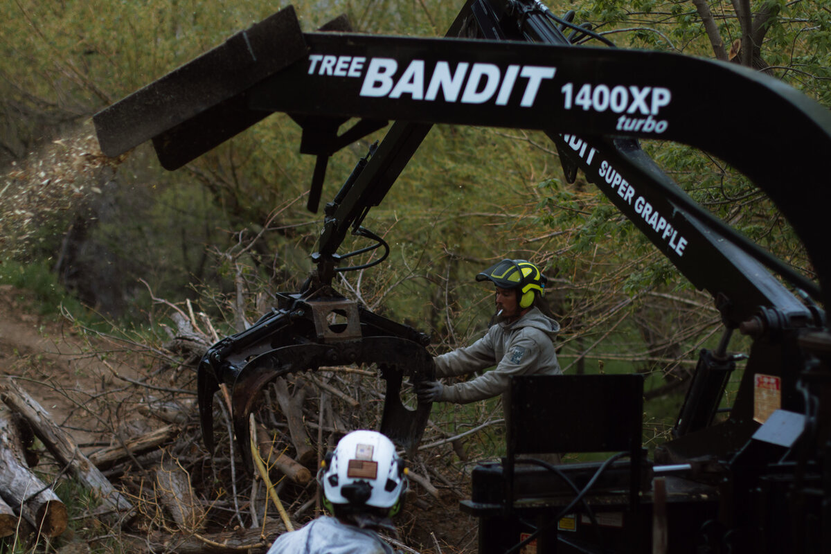 tree-removal-belle-fourche-sd