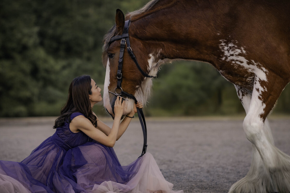 seattle-equine-photoghrapher-13