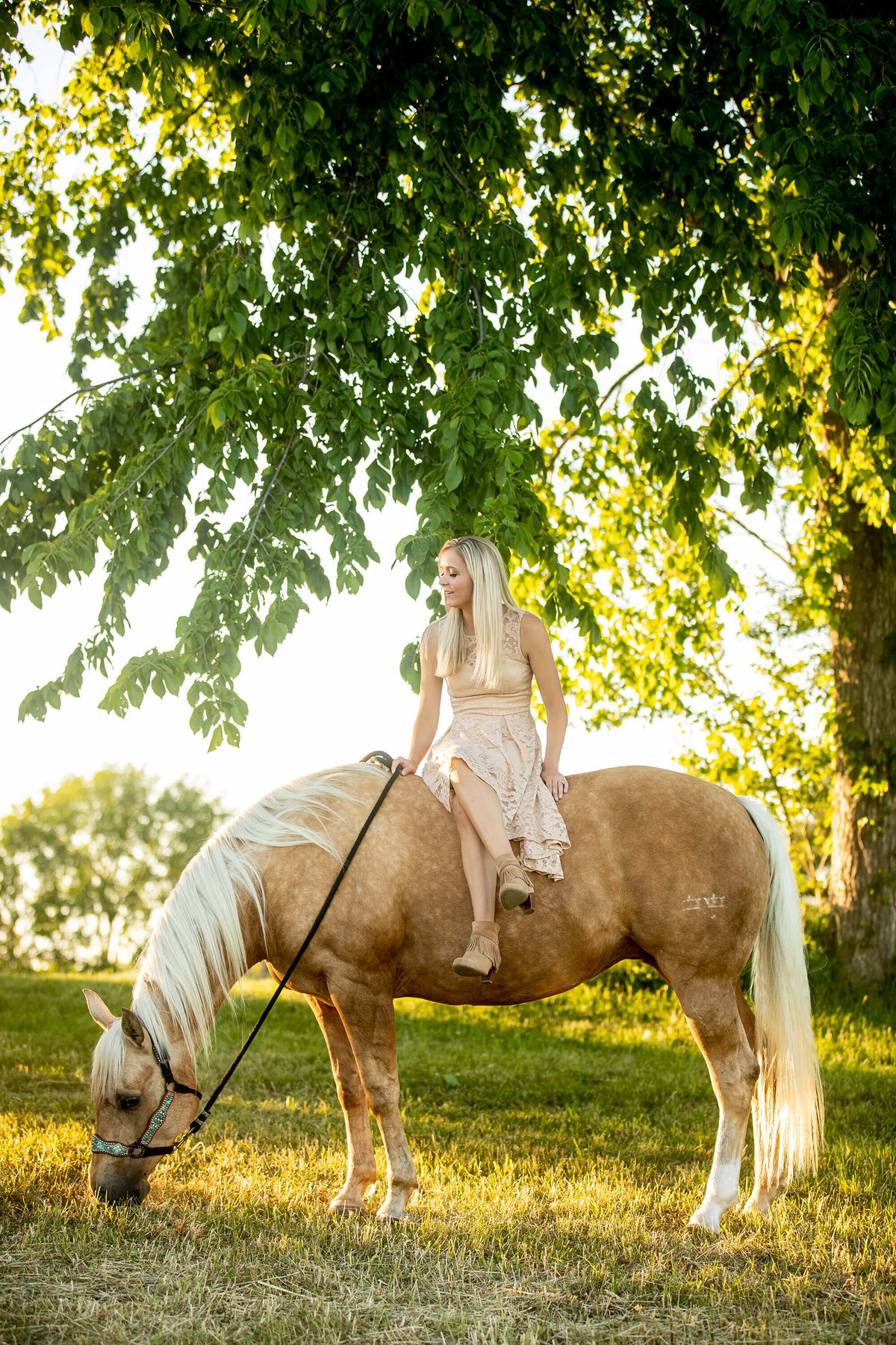 equestrian-photography-saratoga-ny-13