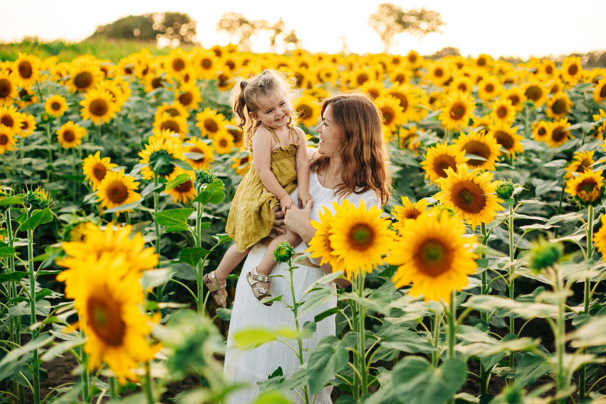 séance dans les tournesols - Les photos de Marie - Bretagne-49