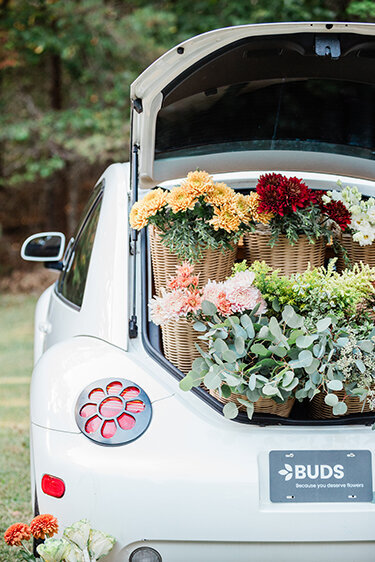 Horn Photography & Design Buds - 0037_