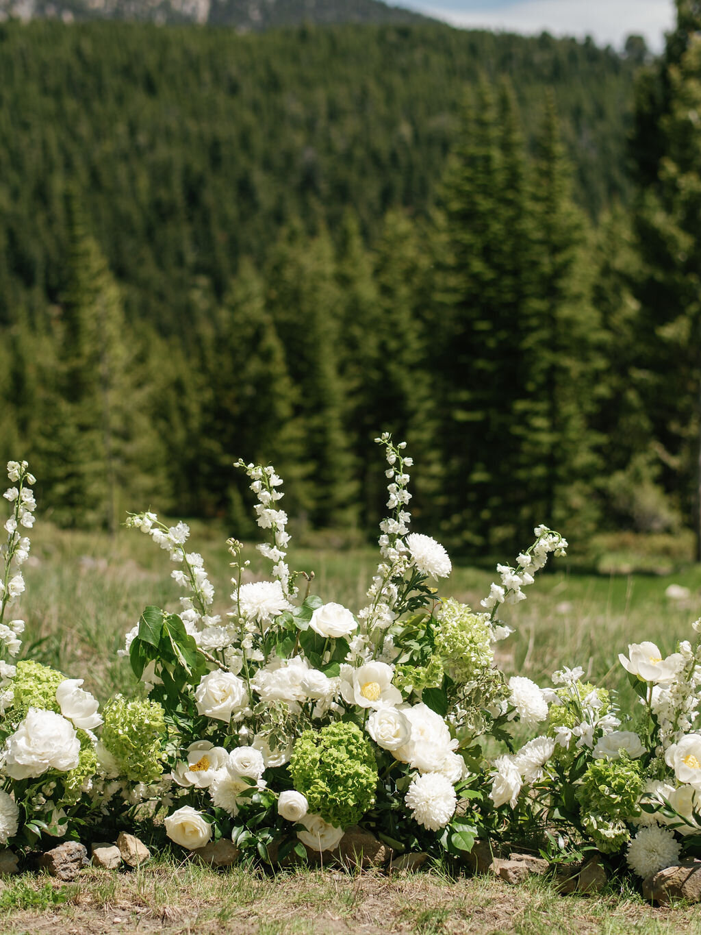 Alex&Devin_TroyMeiklePhoto_133