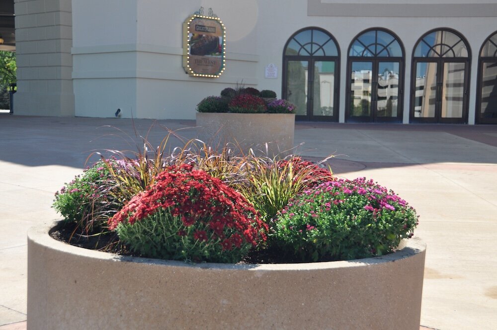 Commercial landscape company project in Kansas City: seasonal flowers showcase