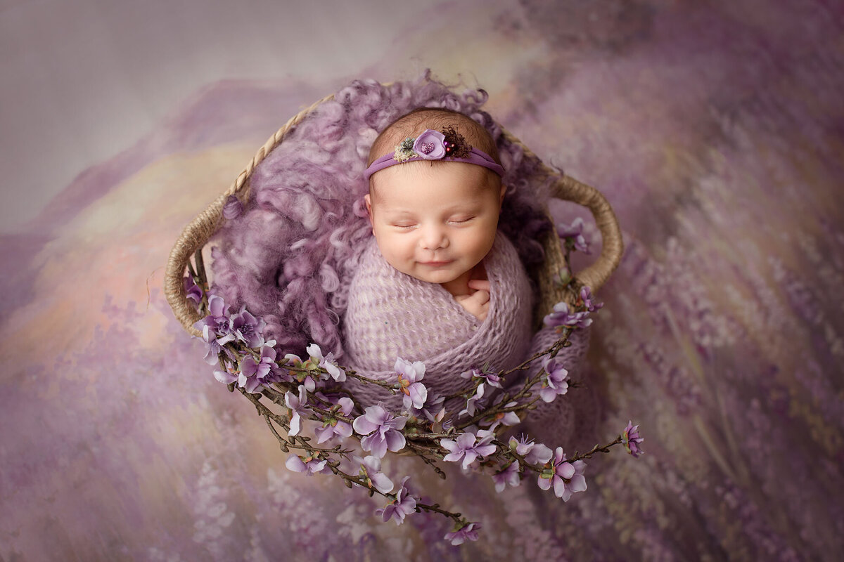 nj newborn baby girl posed in a basket  on a lavender backdrop posing for NJ best newborn photographer