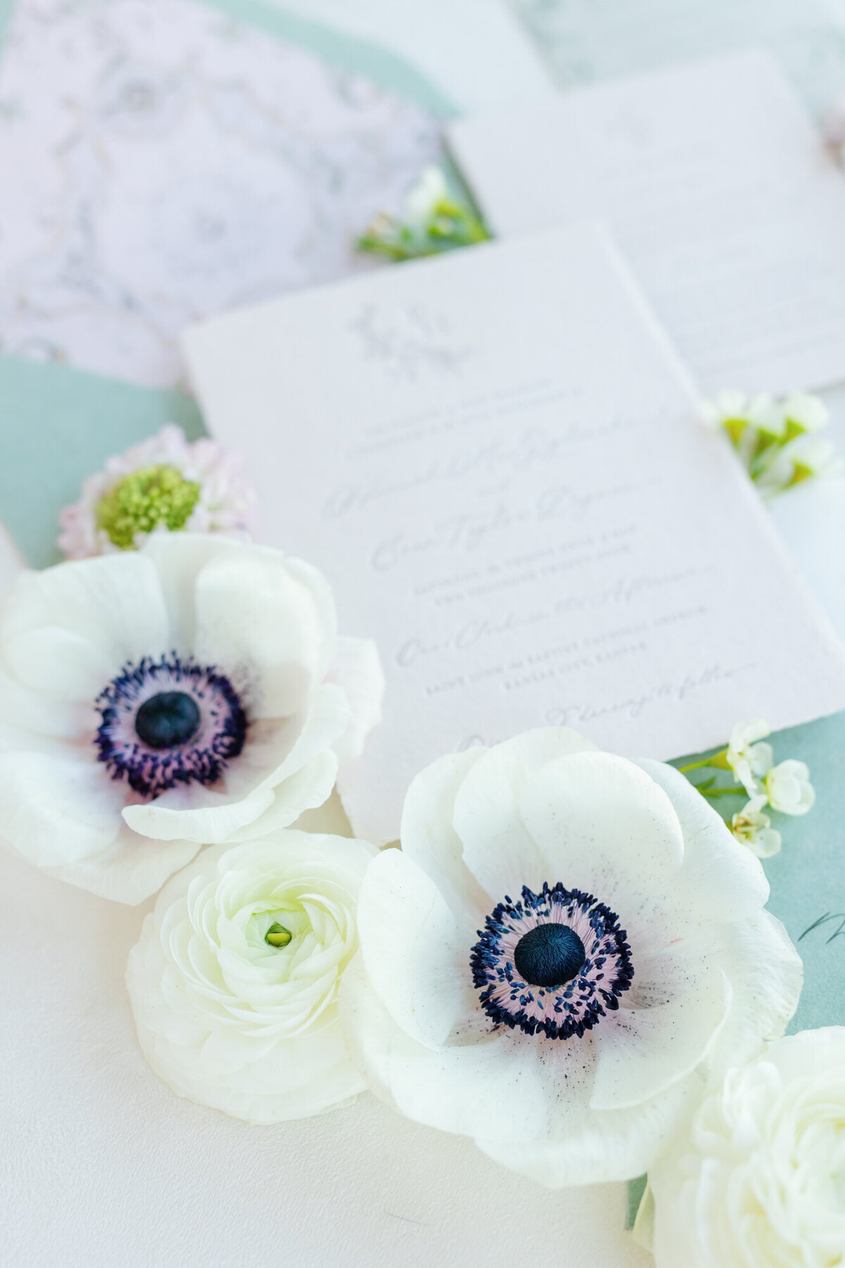 2.16.2025 - Hannah Mae Designs - Amanda Hitchen Photography - Web Files-115