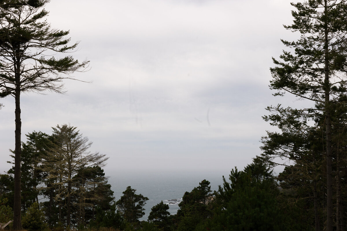 Bay-Area-Elopement