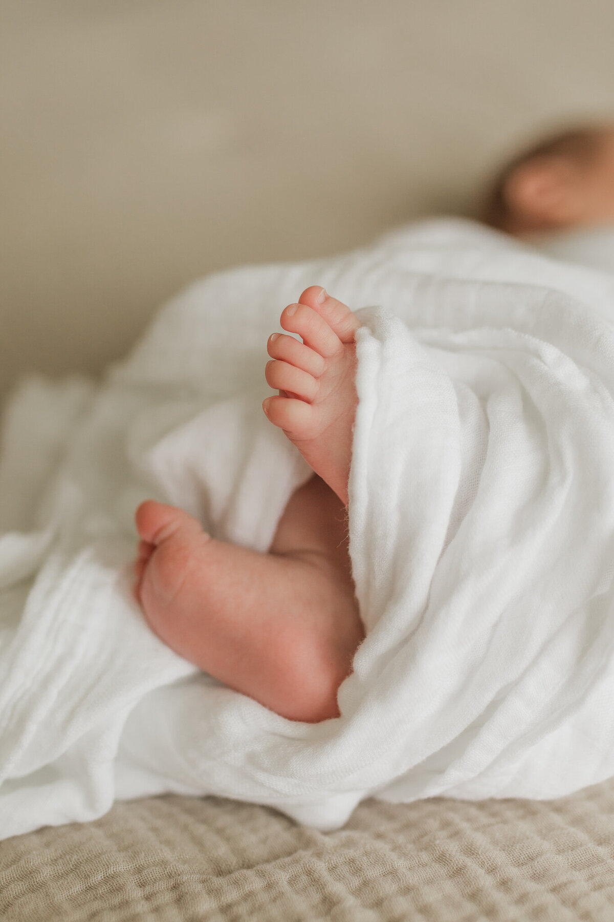 17 Lena Sophia Photography - Camas, WA Newborn Photographer