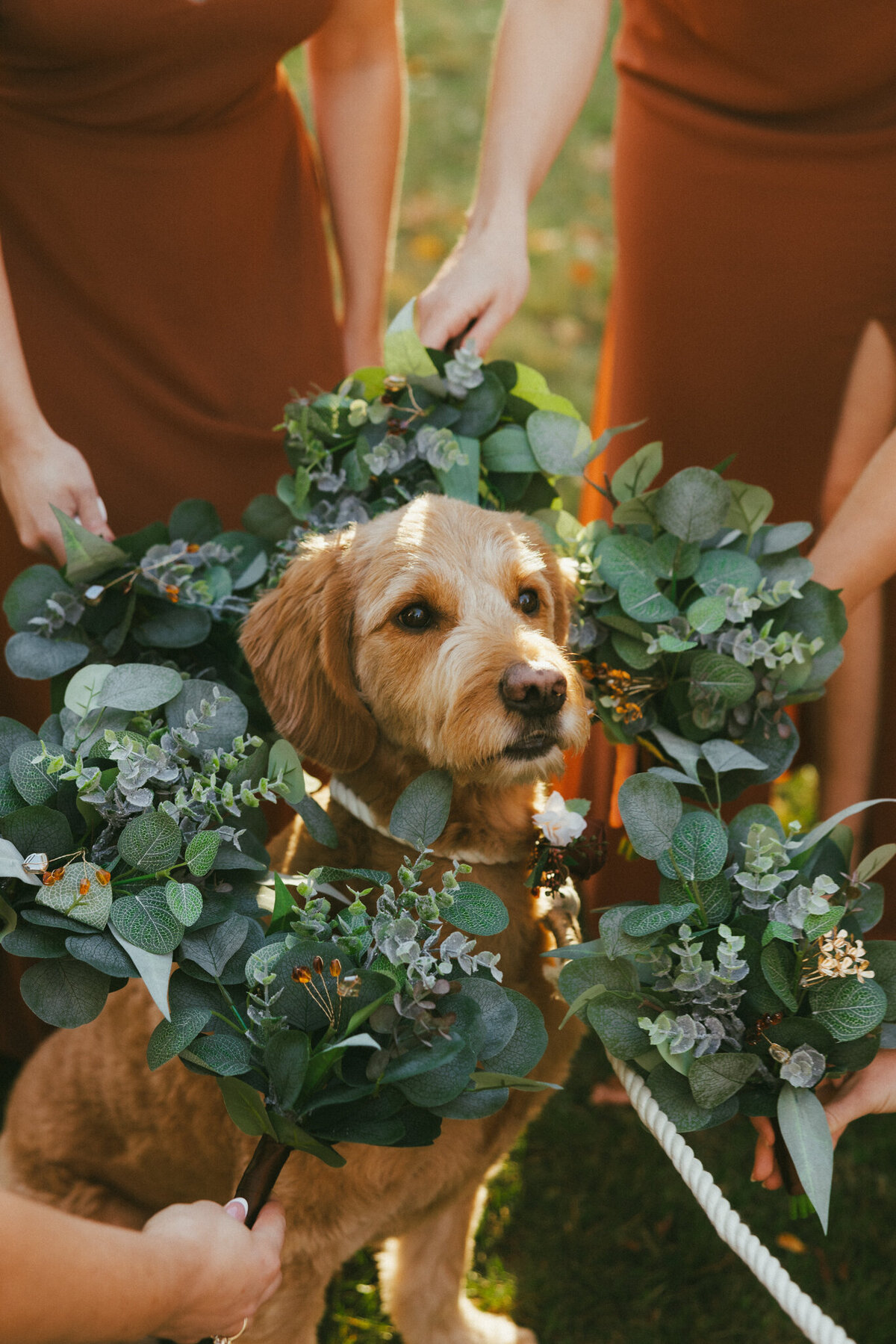 Brittany-Nick-Allrose-Farm-NH-Wedding-44