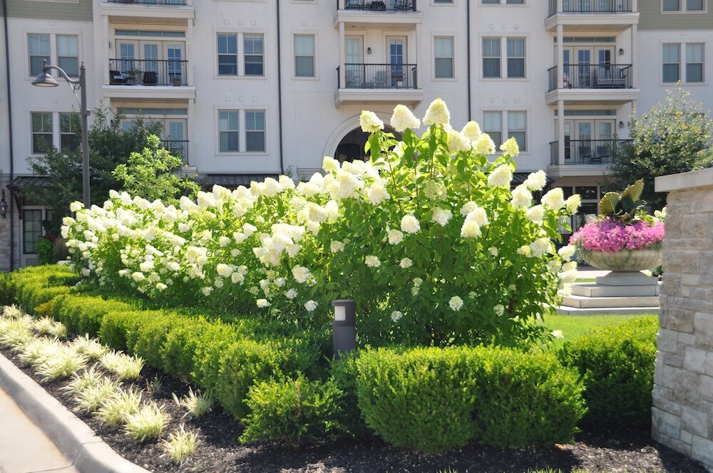Commercial landscape company project in Kansas City