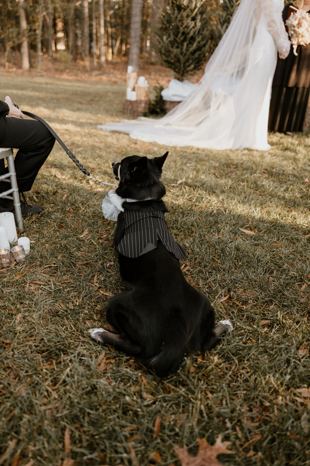 Timeless Wedding moments in Richmond VA