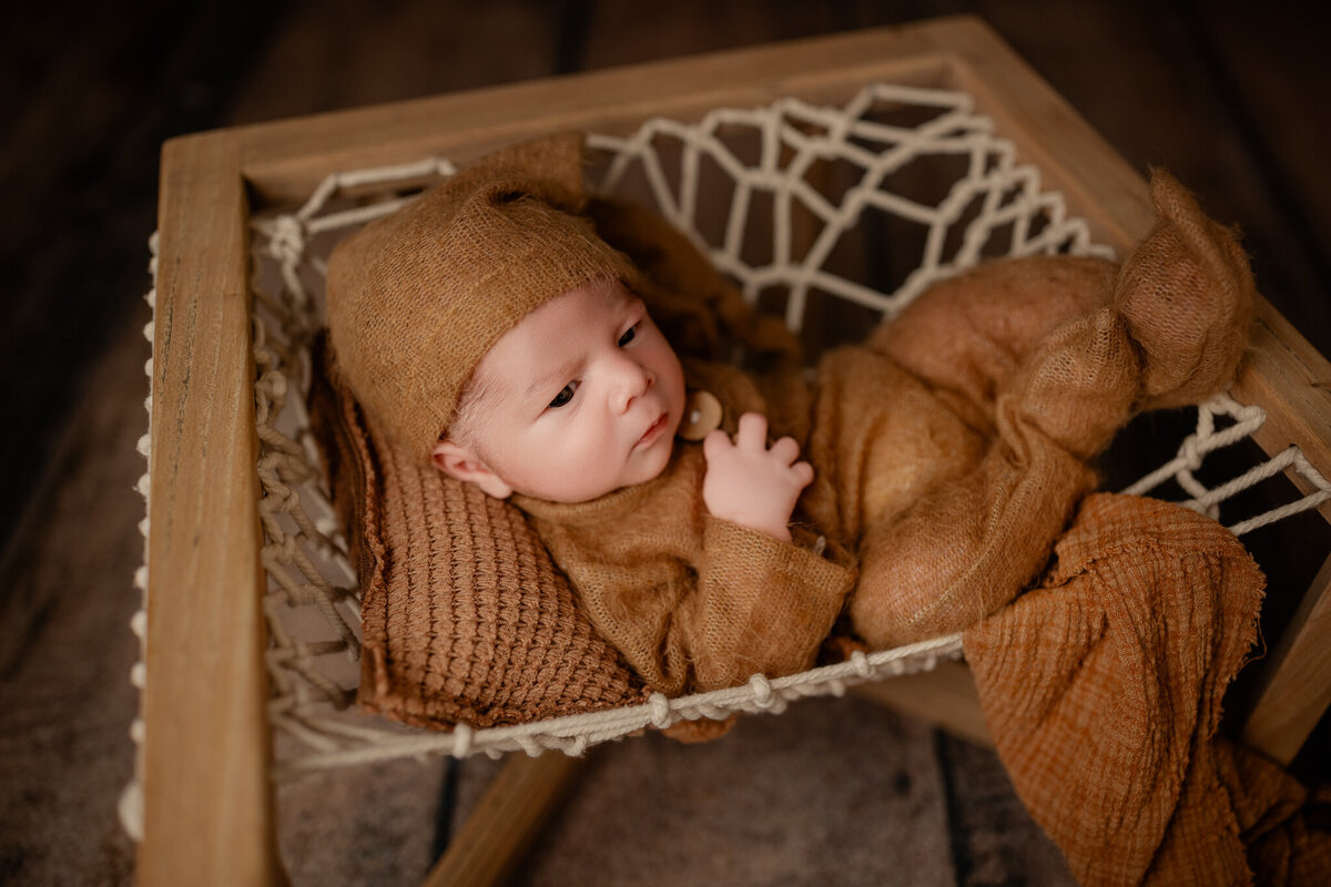 newborn photography NW Arkansas, best newborn portraits NW Arkansas