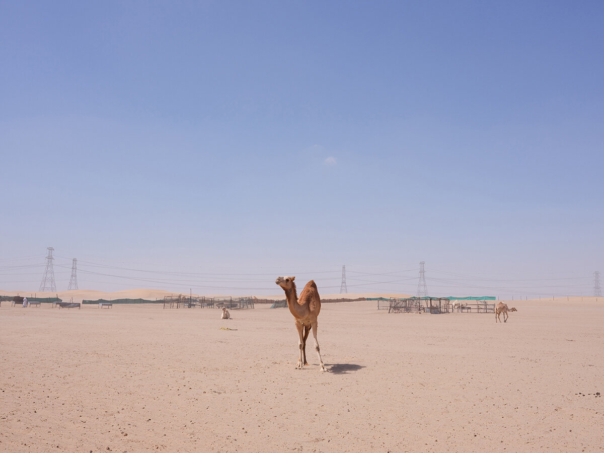 Michelle Norwood Living - Luxury Travel Inspiration - Dubai - elisabricker-5269