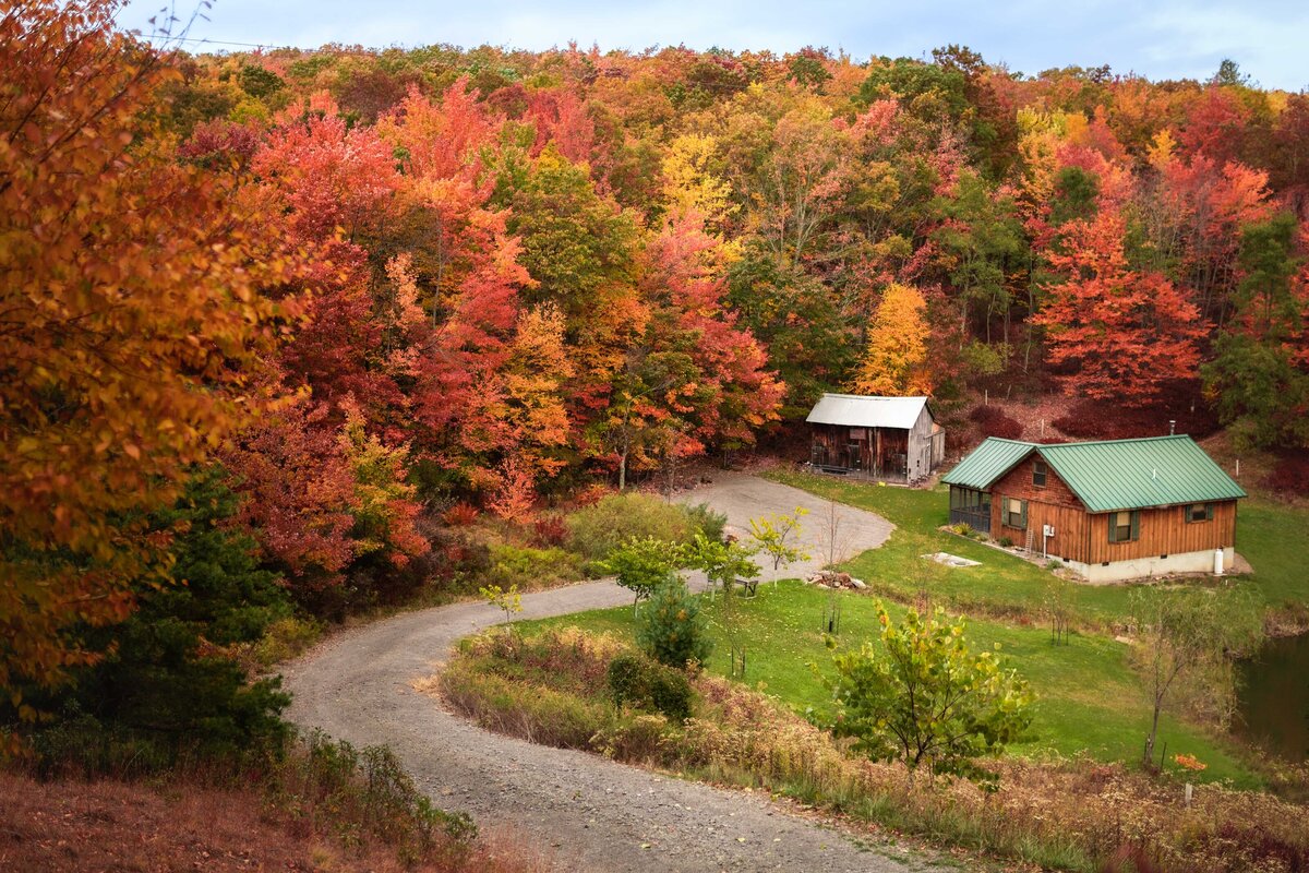 Autumn Cottage
