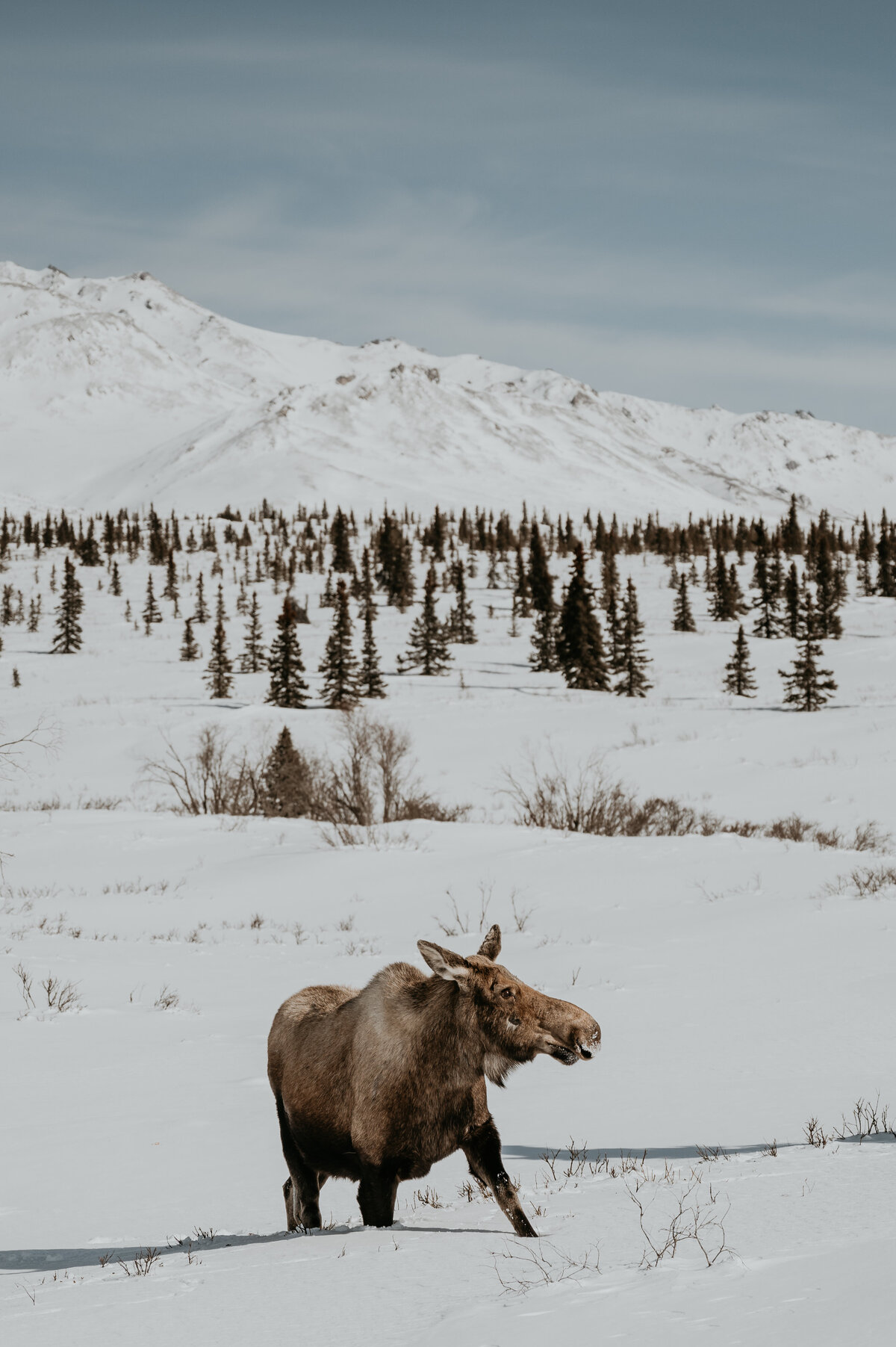 Brit Rader Photography_Cross Country RV Road Trip and Fairbanks Alaska-9273