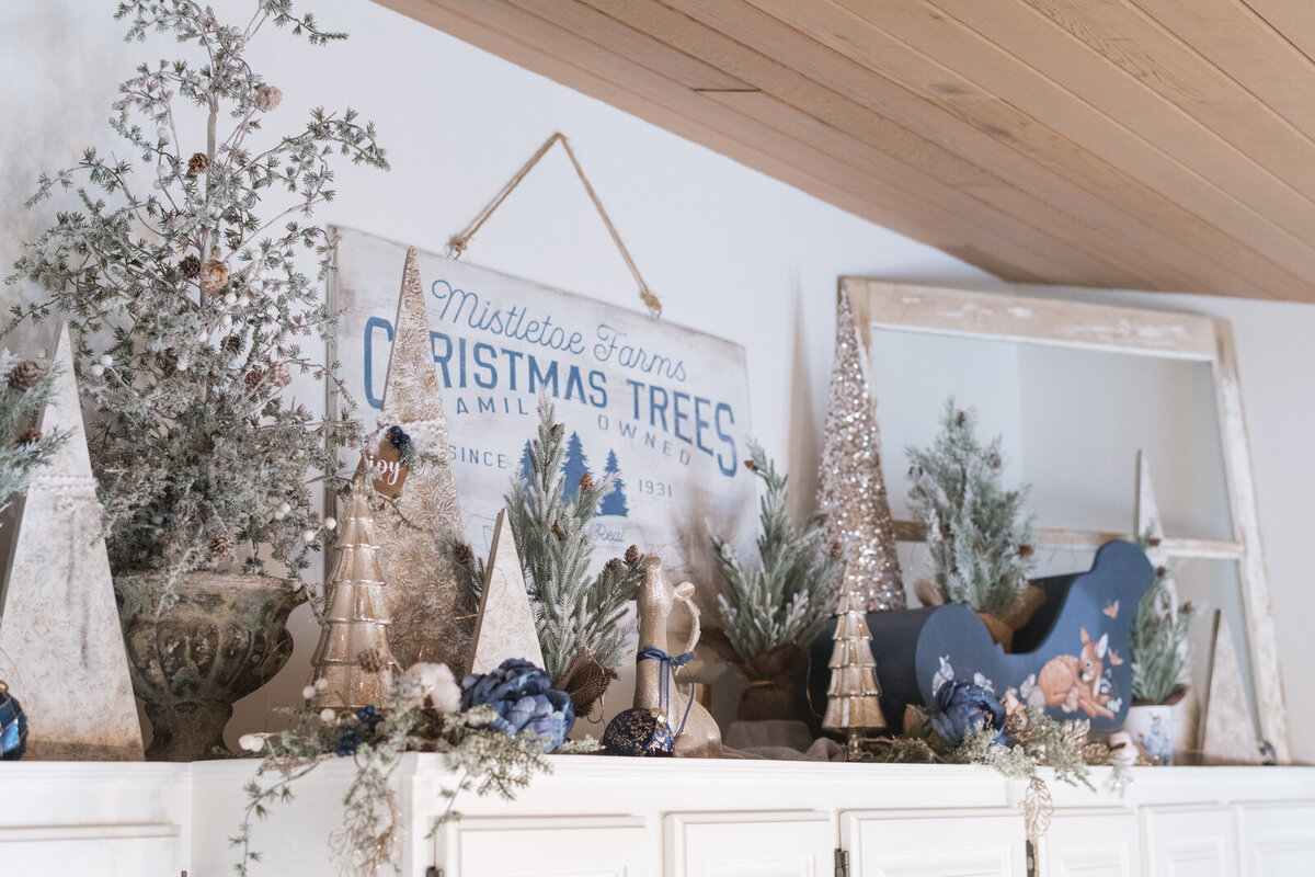 Farmhouse Chic Coasters Blue & white