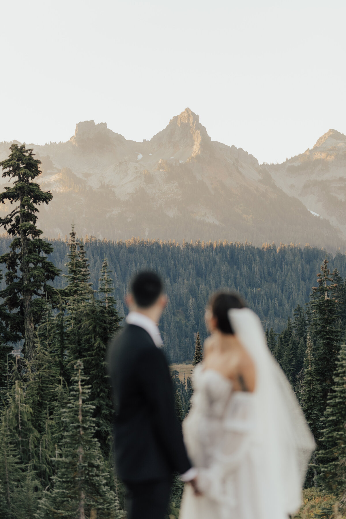 seattle-washington-rachel-syrisko-photography-wedding-elopement-mt-rainier-paradise-J&Z-88