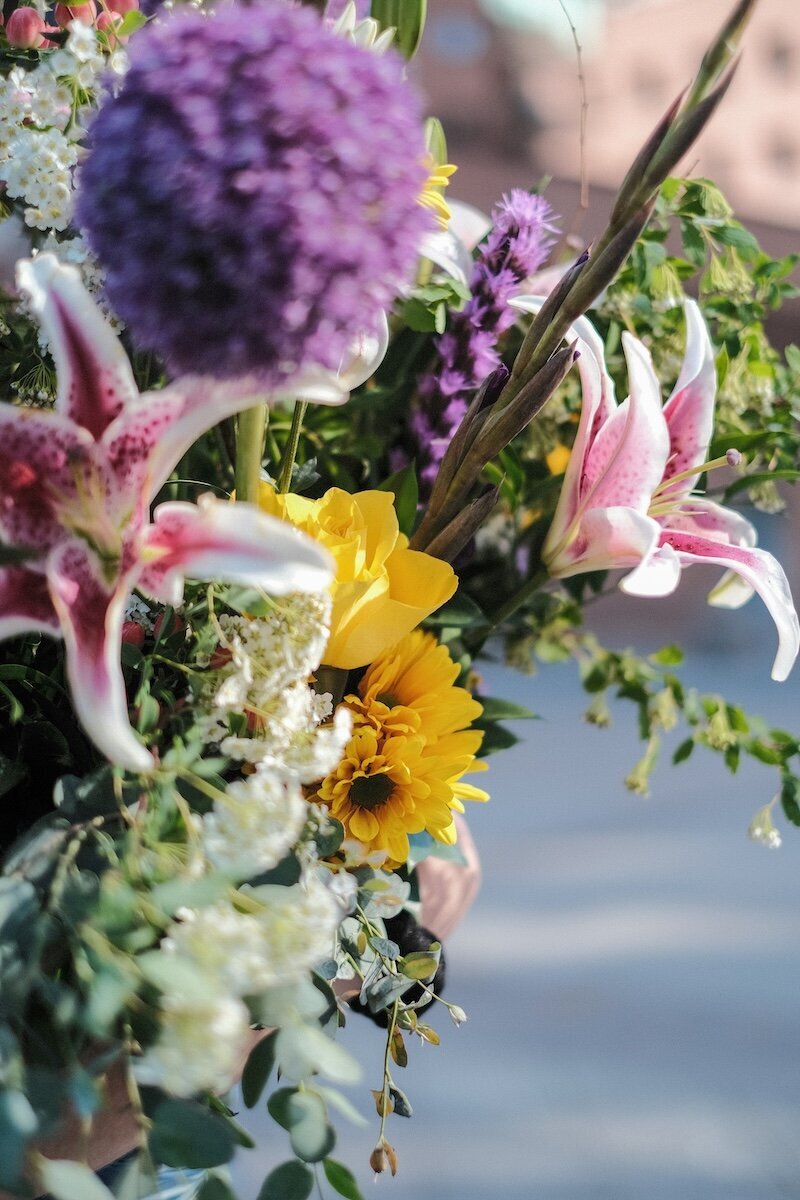 dillon-wanner--VpJKtrnI1g-unsplash