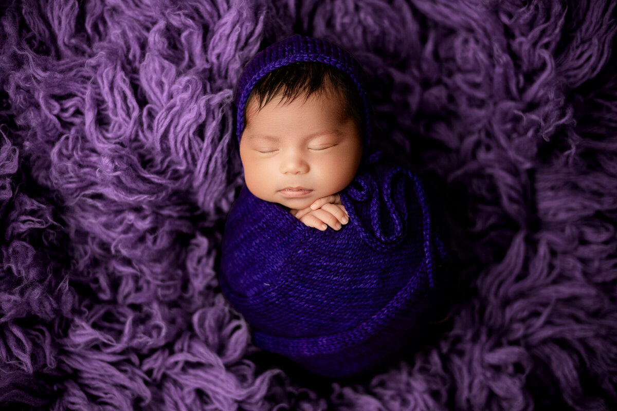 NWA newborn photographer, newborn portraits NW Arkansas