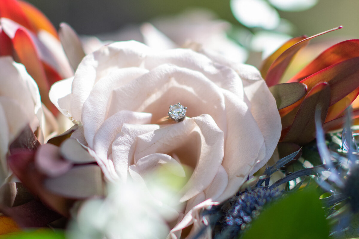 Humboldt-County-Wedding-Photographer-Garbervile-Nor-Cal-Wedding-Photographer-Parky's-Pics-Coastal-Redwoods-Elopements-2