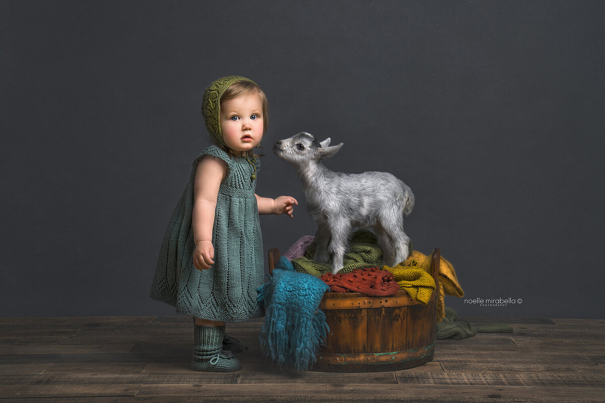 Toddler baby and baby goat playing in a bucket of laundry.